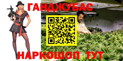 PSILOCYBIN Заводоуковск