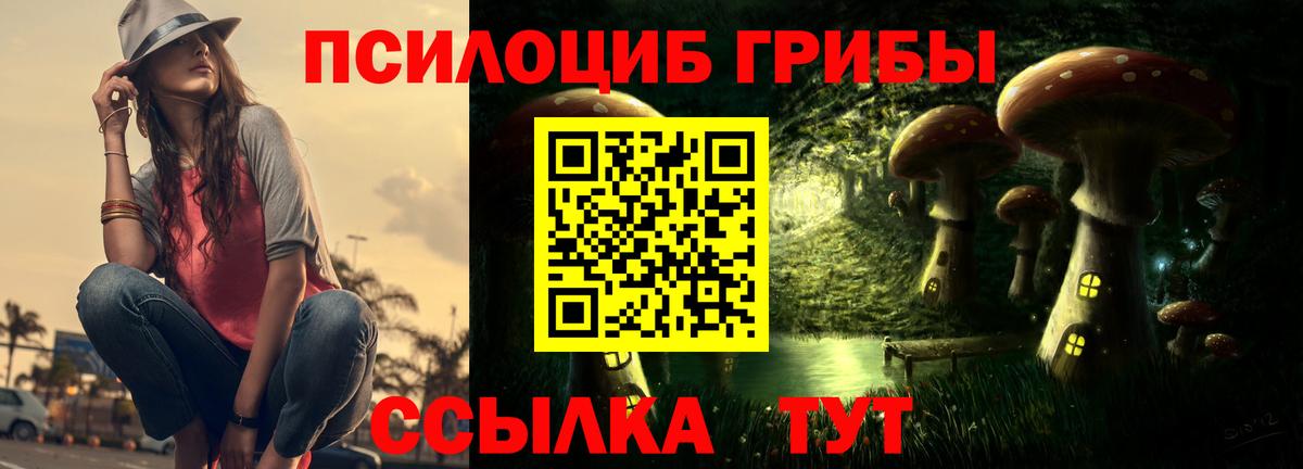 Галлюциногенные грибы Psilocybine cubensis  что такое наркотик  Майкоп  Вход с VPN 
